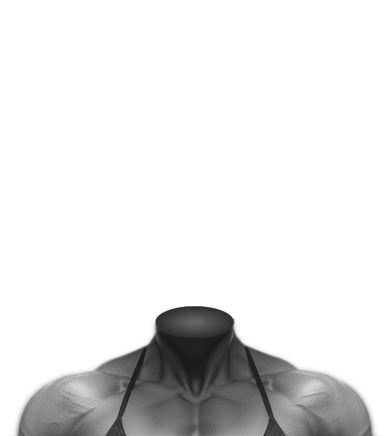 Body 4