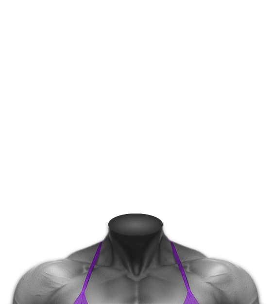 Body 4