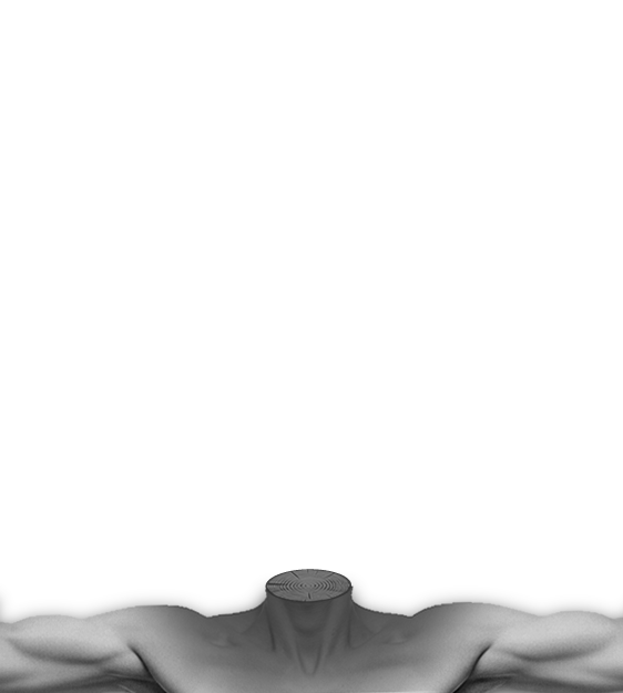 Body 98