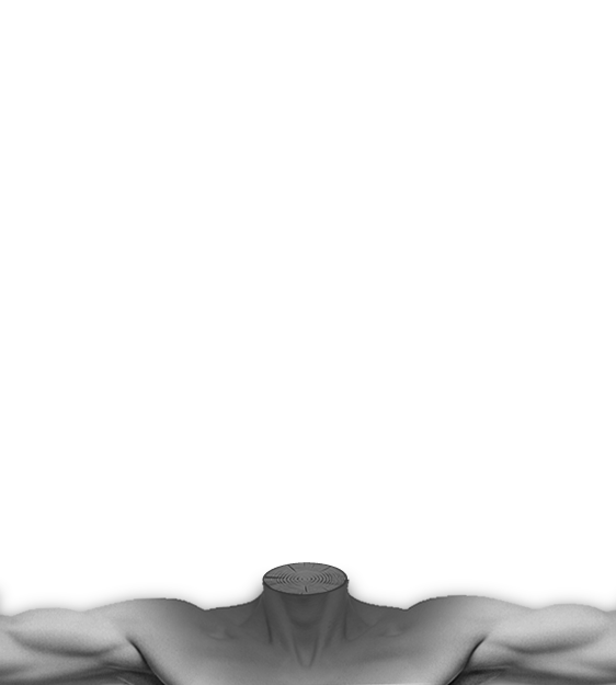 Body 98